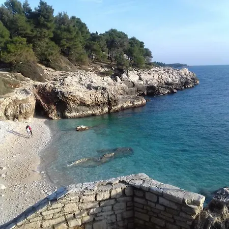 Апартаменты Studio Rose *