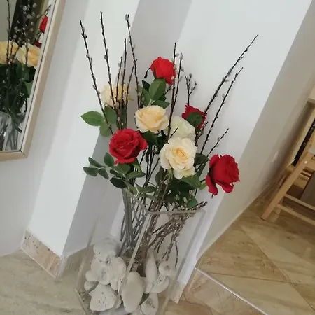 Studio Rose Lägenhet *