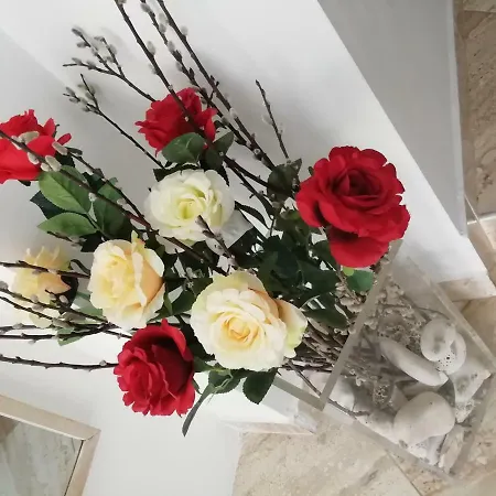 Studio Rose Apartment *