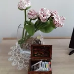 Rose *